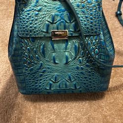 Beautiful Brahmin Peacock Handbag