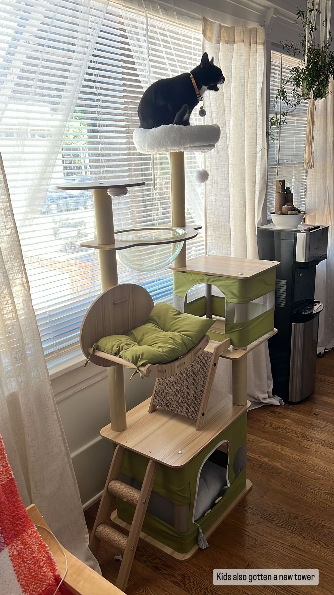 Cat tree in Cat tower for indoor cats,multi-level cat furniture condo with scratching bo