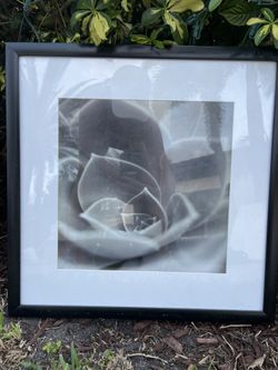 Framed B/W Wall Art