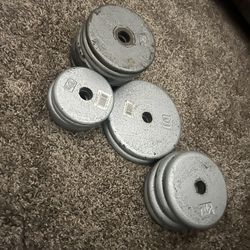 Weights/dumbbells And Bench.