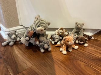 A whole litter of Ty, beanie babies ( 9 babies and mom. )