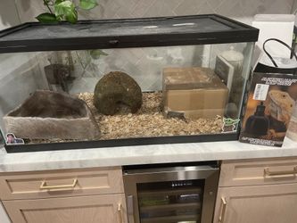 50 gallon terrarium with accessories, lights corner rock & moss Hide
