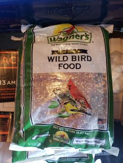 Bird food