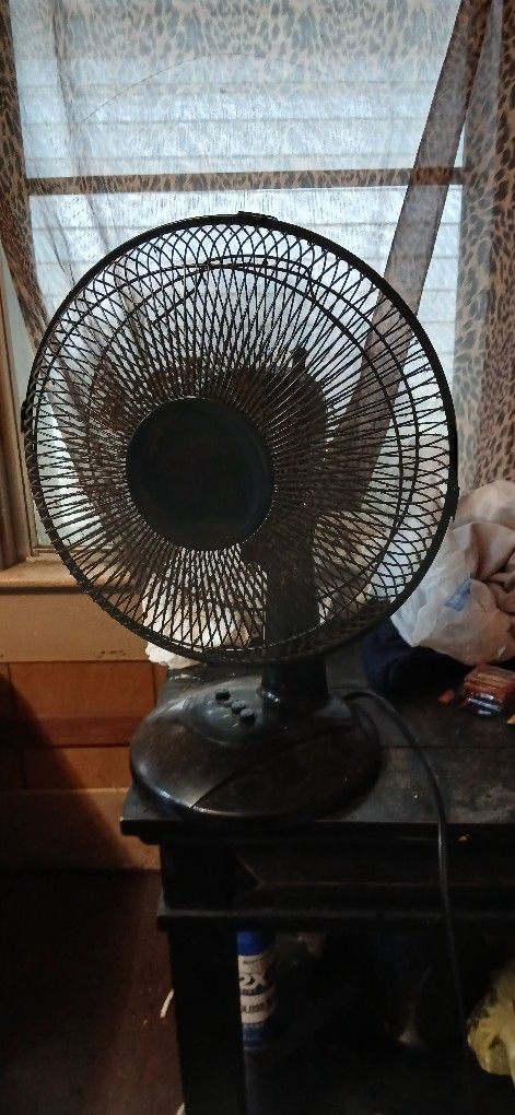 Mini Fan Black