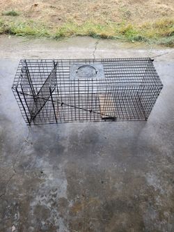 Animal Trap