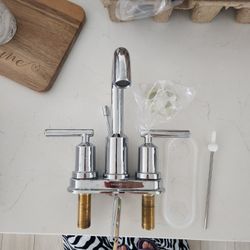 MOEN Faucet