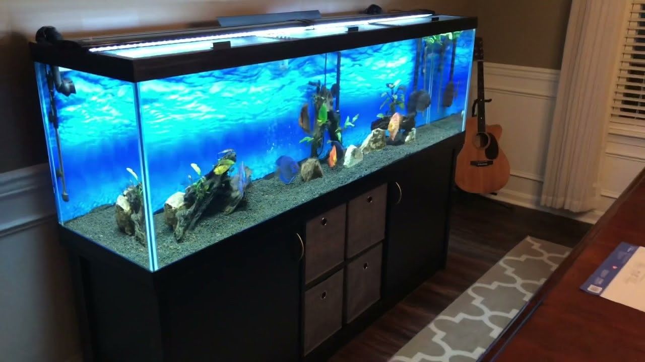 125 Gallon Tank + Wooden Stand