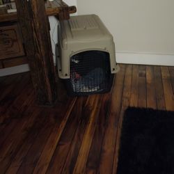 Dog Crate