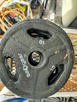 Three CAP Olympic Weight Plates – Two 10 lb + One 25 lb – $50
