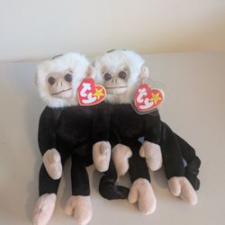 Ty Beanie Babies - Mooch 