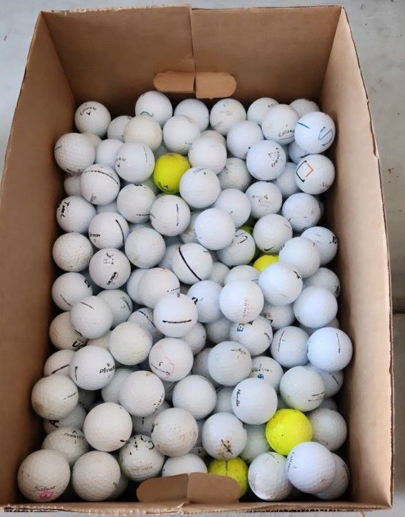 1000 golf balls for $200 or 200 golf balls for $60