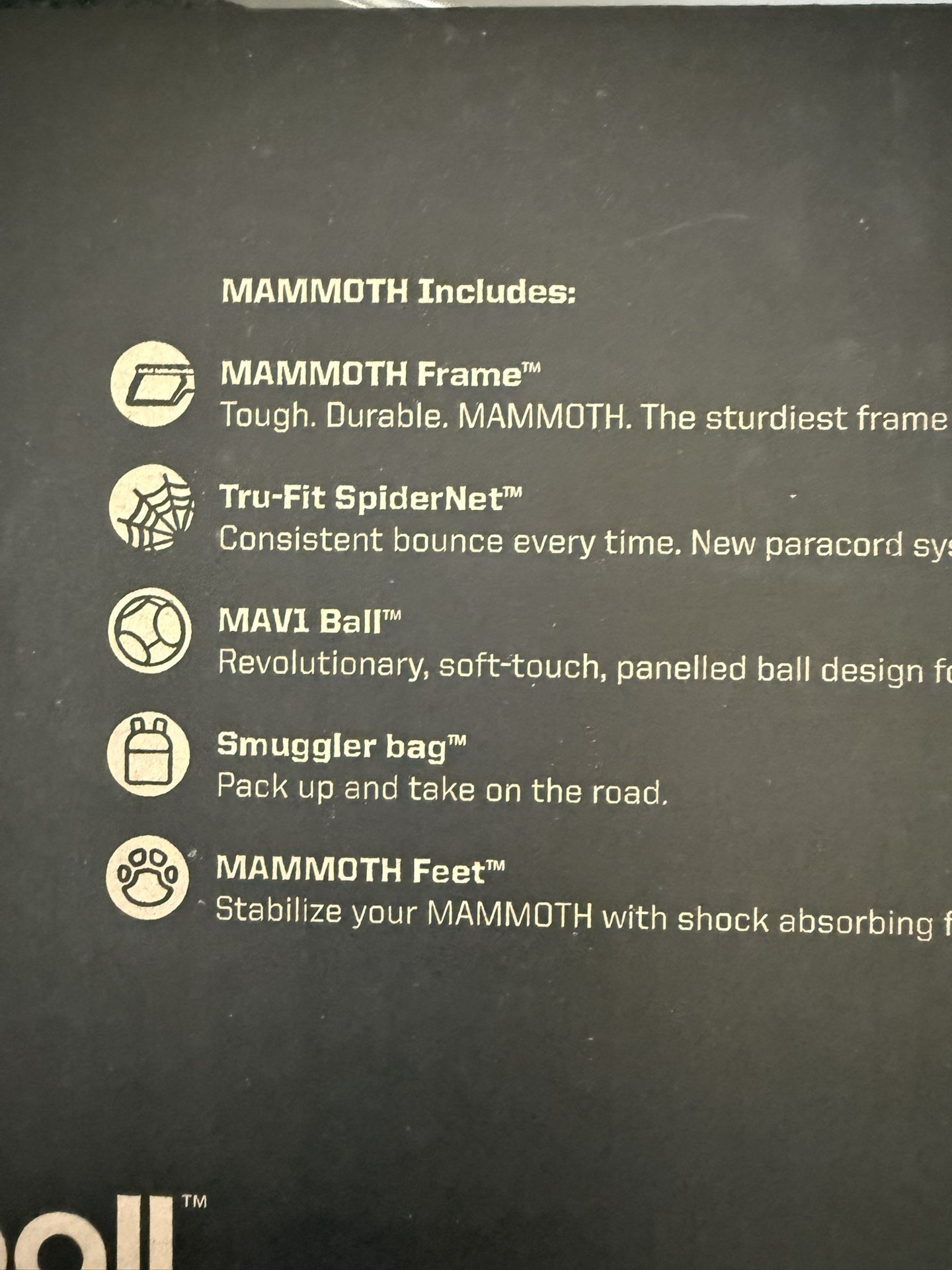 Spikeball Mammoth