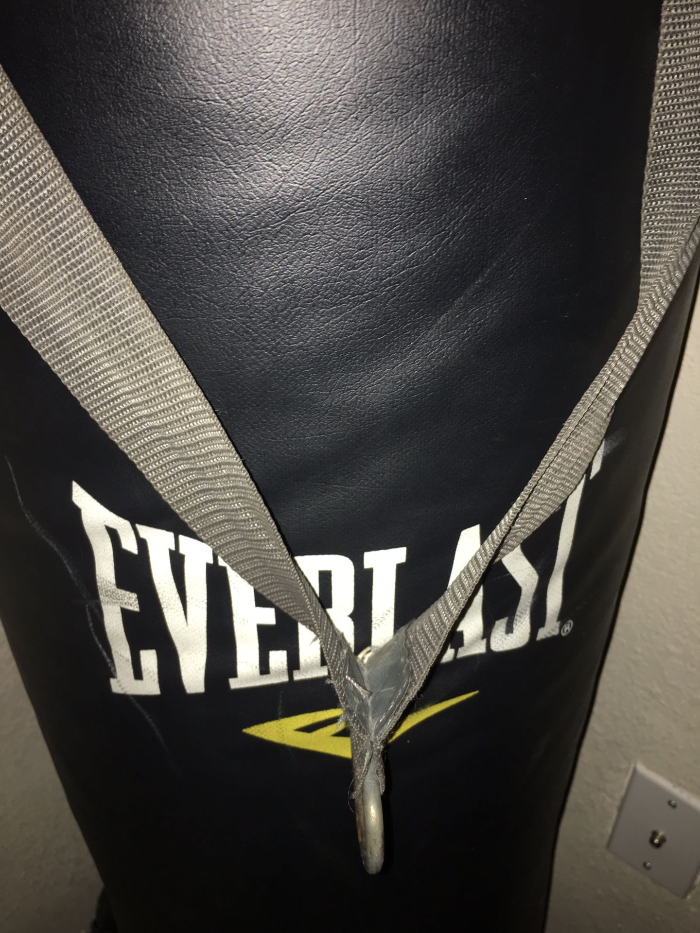 Everlast 80Pound punching bag
