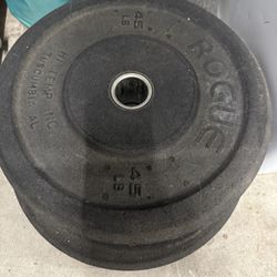 Rogue Bumper Plates