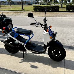 2022 honda outlet ruckus for sale