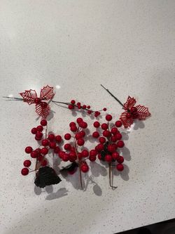 Red berry pics lot- 6 count