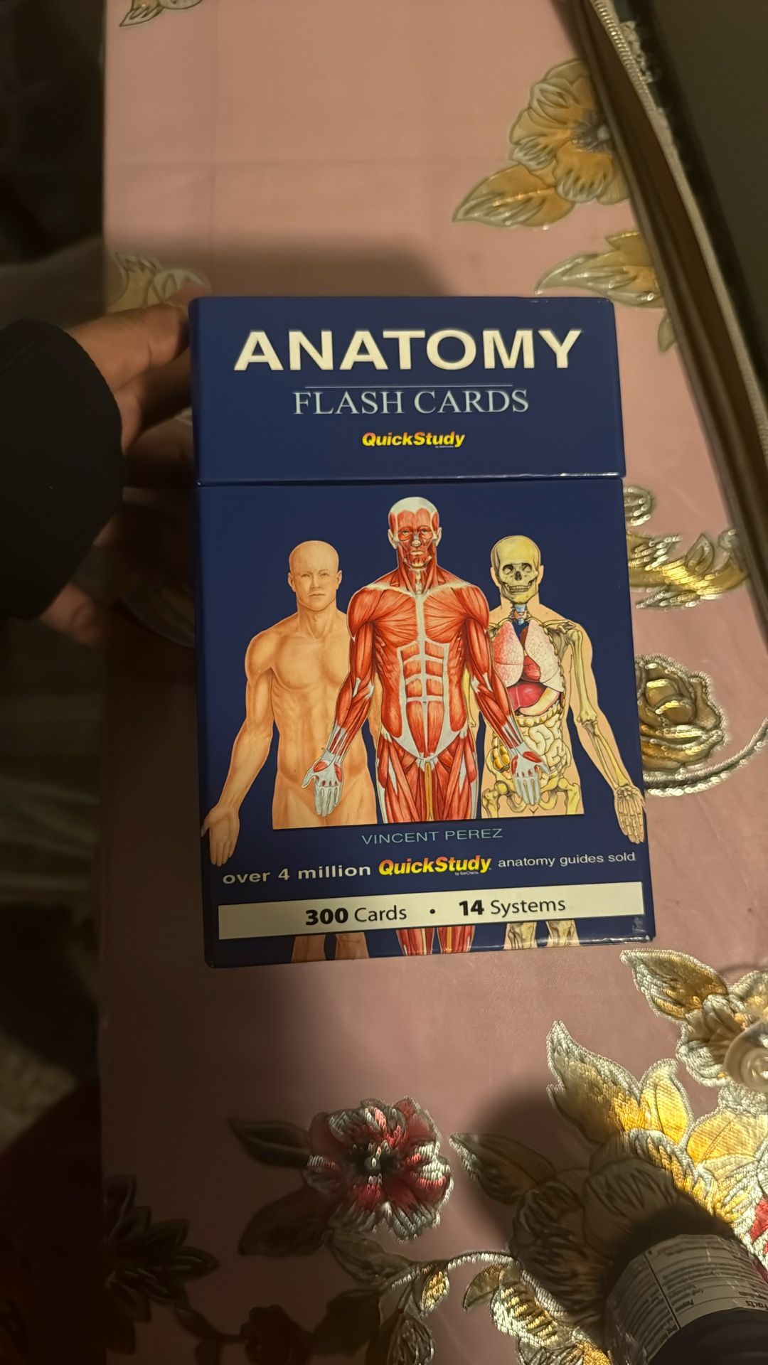 Anatomy Flash cards