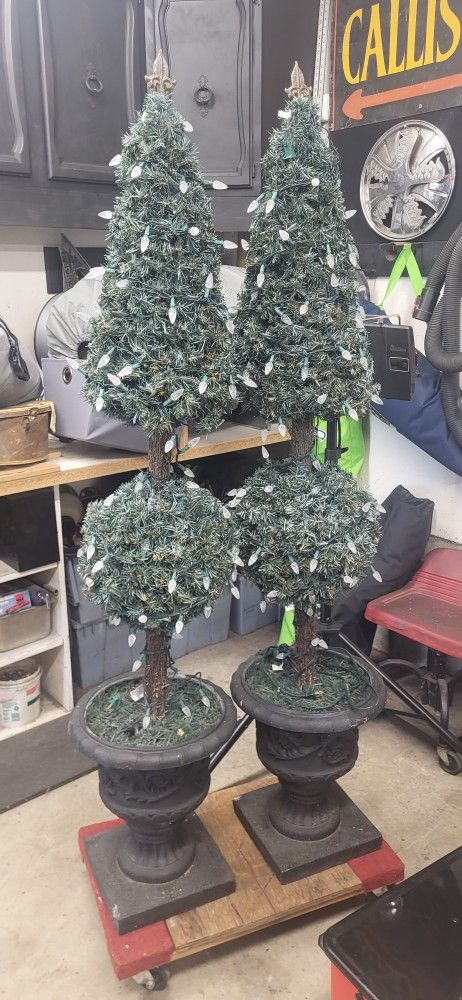 Topiary Trees