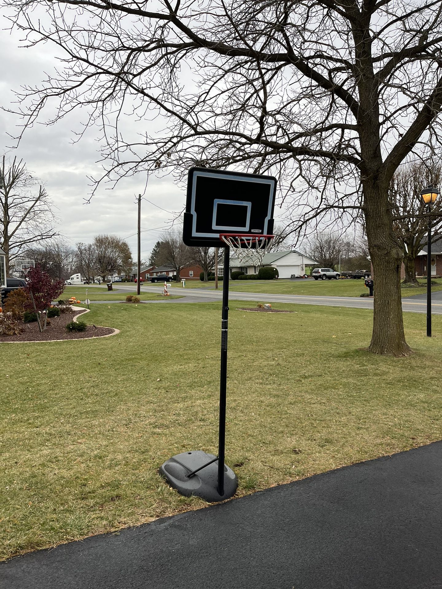 Lifetime 32” Rookie Basketball Hoop
