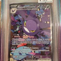 Pokemon Card Crobat SIR PSA 10 Destined Rivals 