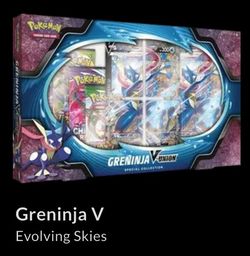 Pokémon Greninja V-Union Collection Box