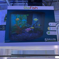 5 Gallon GloFish Tank 