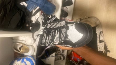black lavins