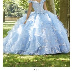 Quinceanera dress