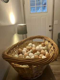 Fresh Eggs For Sale