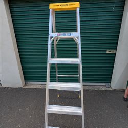Werner 6ft Ladder 