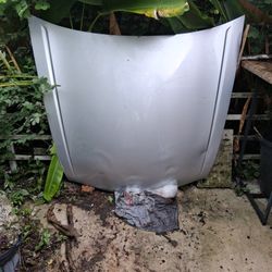 Honda Accord Sedan Hood