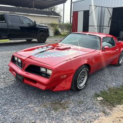 1979 Pontiac Trans am 