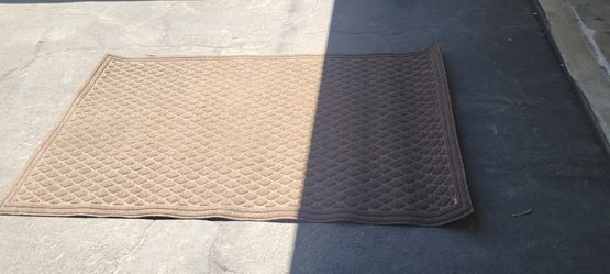 Small 3x5 Brown Rug