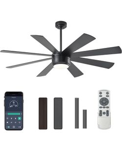 SHOWDI Black Ceiling Fans with Lights and Remote, Quick Installation, 60 in 2 Blade Color, Metal Material, App Remote Control, Timer, Reversible, 3CCT