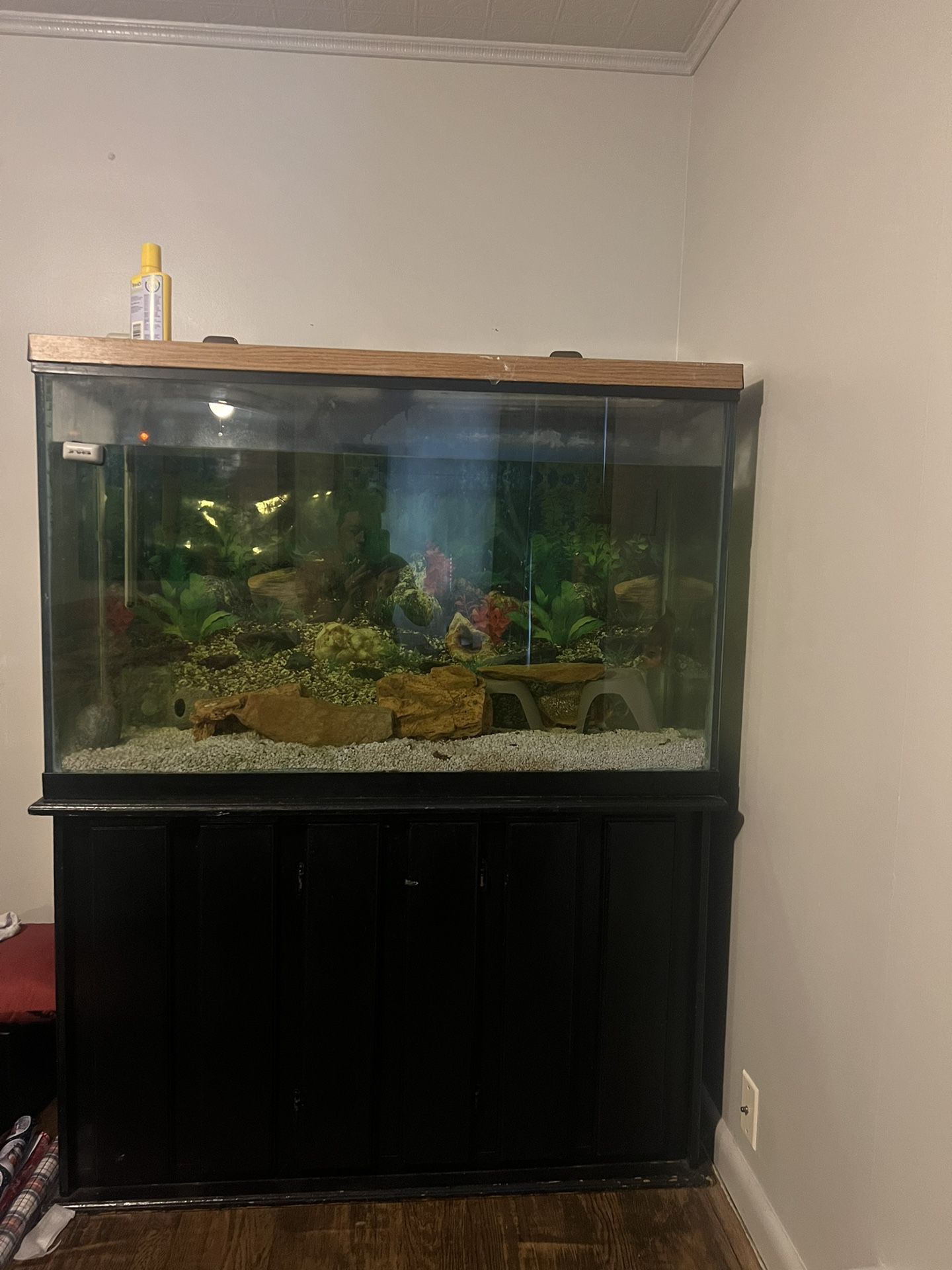 100 Gallon Fish Tank