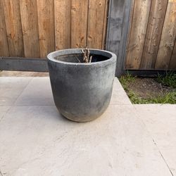 Plant Pot / Planter $40 OBO