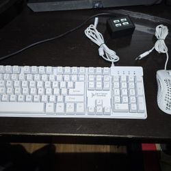 RGB Keyboard and Mouse