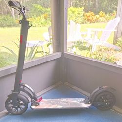 Folding Scooters Adjustable