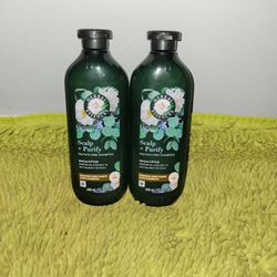 2 Shampoo 13.5oz Herbal Essences Scalp + Purify Eucalyptus 