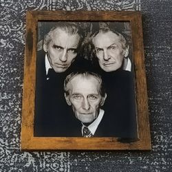 Horror Icons, Vincent Price Peter Cushing Christopher Lee Framed Print 8.5" x 11"