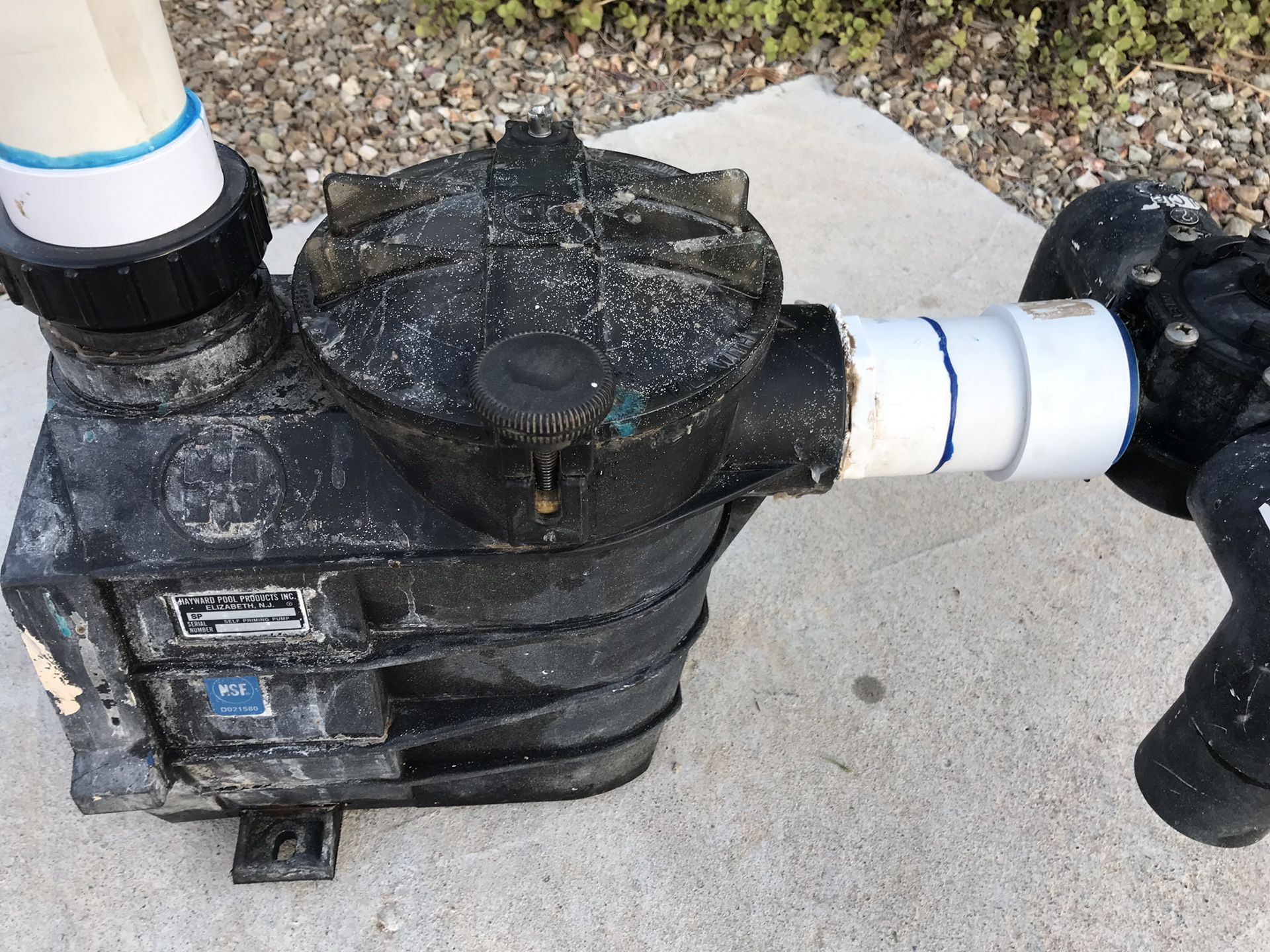 HAYWARD POOL PUMP HOUSING (MODEL SP3020) W/ BASKET INSIDE & SECURED LID