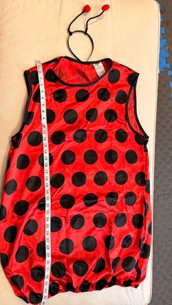 Cute Adult Ladybug Costume Set – Dress & Headband Included! 🐞🔴 Red with black polka dots ladybug costume