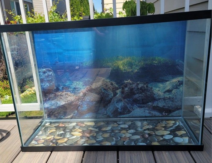 Fish Tank 29 Gallons