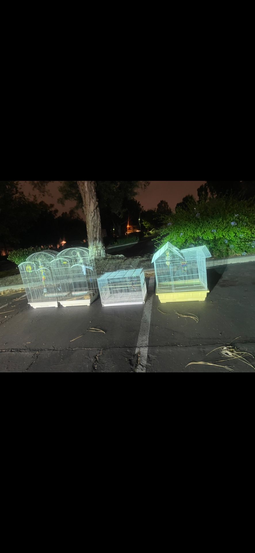 Bird cage. Different Sizes. Sold Separately. What’s Ur Offer?