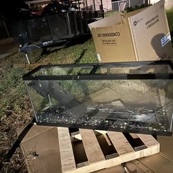 Fish Or Reptile Tank