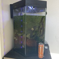 Octagonal Upright Aquarium W/ Plants And Fish