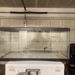 Tank For Sale 