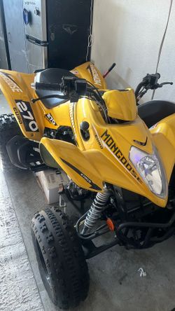2021 mongoose