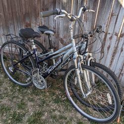 Specialized Bike and Haro V1