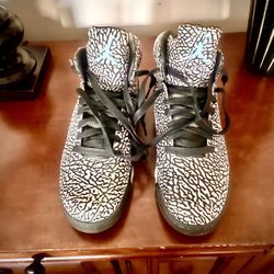 Jordan Lab 5 Size 13